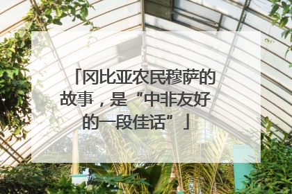 冈比亚农民穆萨的故事，是“中非友好的一段佳话”