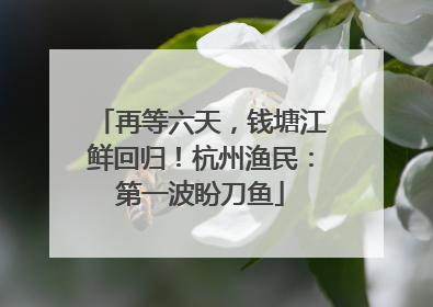 再等六天，钱塘江鲜回归！杭州渔民：第一波盼刀鱼