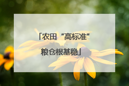 农田“高标准” 粮仓根基稳