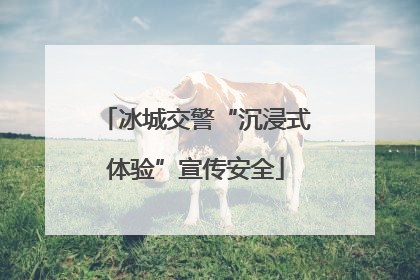 冰城交警“沉浸式体验”宣传安全