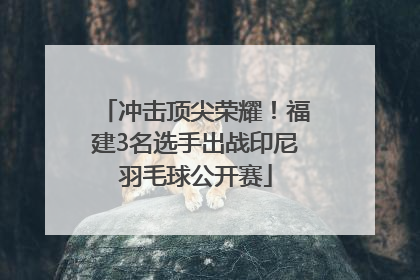 冲击顶尖荣耀！福建3名选手出战印尼羽毛球公开赛