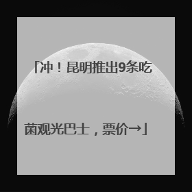 冲！昆明推出9条吃菌观光巴士，票价→