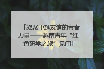 凝聚中越友谊的青春力量——越南青年“红色研学之旅”见闻
