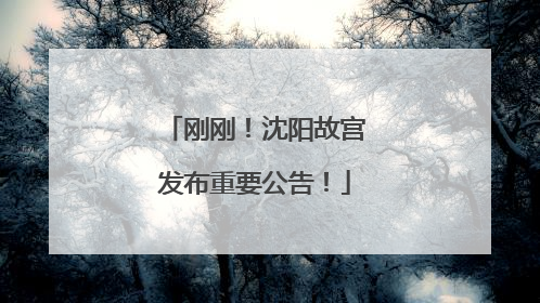 刚刚！沈阳故宫发布重要公告！