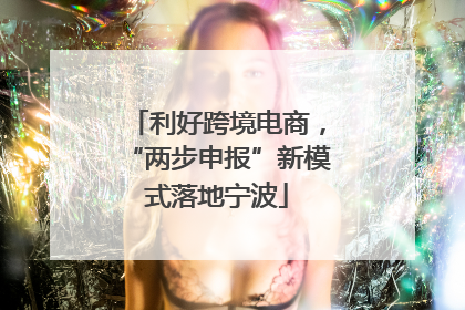 利好跨境电商，“两步申报”新模式落地宁波