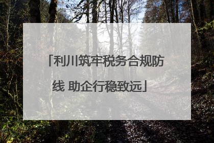 利川筑牢税务合规防线 助企行稳致远