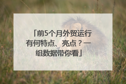 前5个月外贸运行有何特点、亮点？一组数据带你看