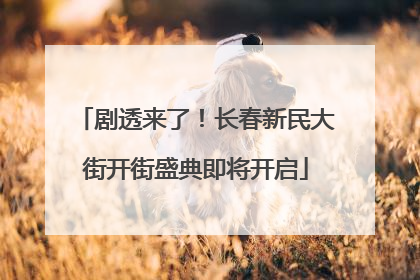 剧透来了！长春新民大街开街盛典即将开启