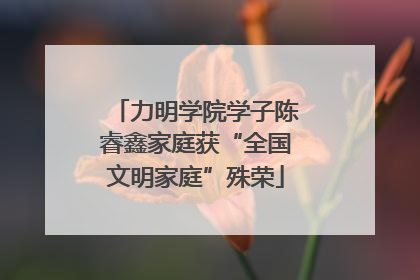 力明学院学子陈睿鑫家庭获“全国文明家庭”殊荣