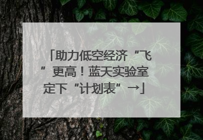 助力低空经济“飞”更高！蓝天实验室定下“计划表”→