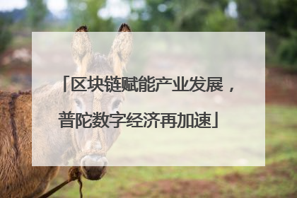区块链赋能产业发展，普陀数字经济再加速