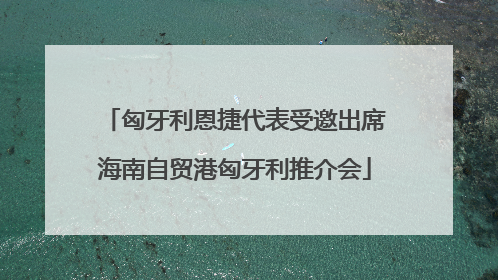 匈牙利恩捷代表受邀出席海南自贸港匈牙利推介会