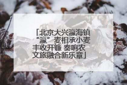 北京大兴瀛海镇“瀛”麦相承小麦丰收开镰 奏响农文旅融合新乐章