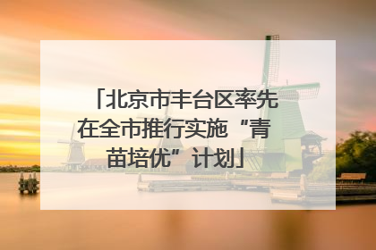 北京市丰台区率先在全市推行实施“青苗培优”计划