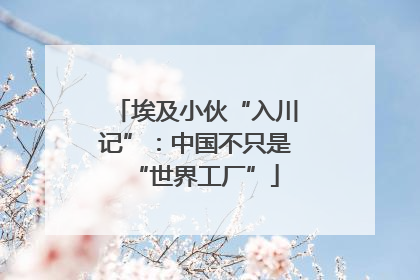 埃及小伙“入川记”：中国不只是“世界工厂”