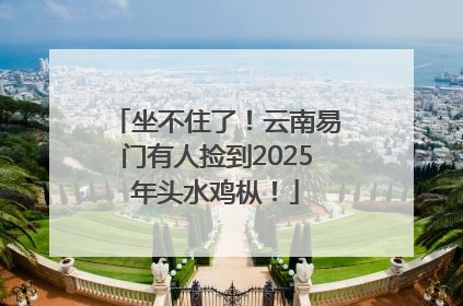 坐不住了！云南易门有人捡到2025年头水鸡枞！