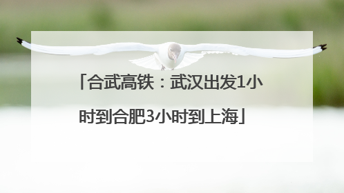 合武高铁：武汉出发1小时到合肥3小时到上海