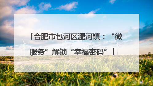 合肥市包河区淝河镇：“微服务”解锁“幸福密码”