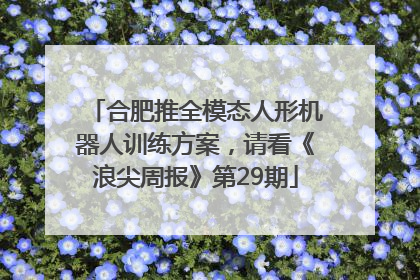 合肥推全模态人形机器人训练方案，请看《浪尖周报》第29期