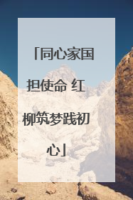 同心家国担使命 红柳筑梦践初心