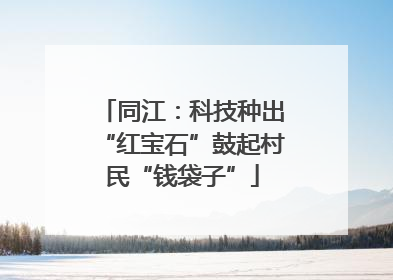 同江：科技种出“红宝石”鼓起村民“钱袋子”