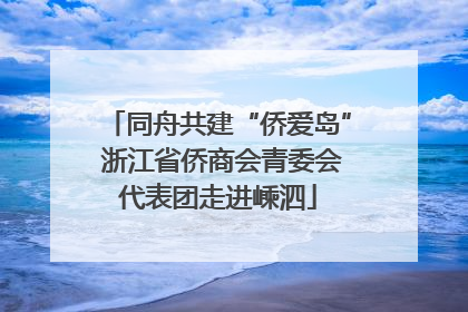 同舟共建“侨爱岛” 浙江省侨商会青委会代表团走进嵊泗
