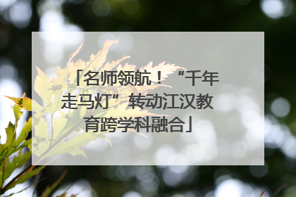 名师领航！“千年走马灯”转动江汉教育跨学科融合