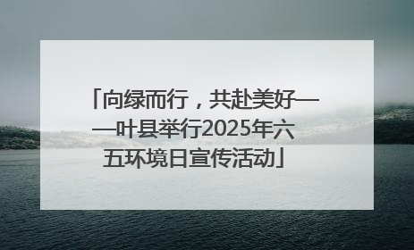 向绿而行，共赴美好——叶县举行2025年六五环境日宣传活动