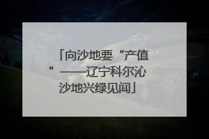向沙地要“产值”——辽宁科尔沁沙地兴绿见闻