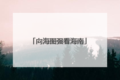向海图强看海南