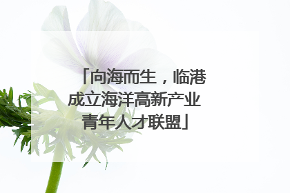 向海而生，临港成立海洋高新产业青年人才联盟
