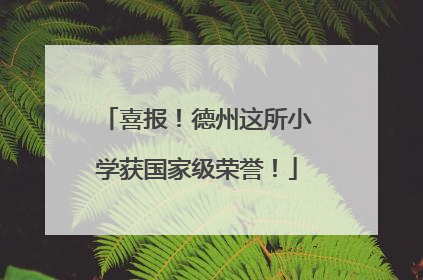 喜报！德州这所小学获国家级荣誉！