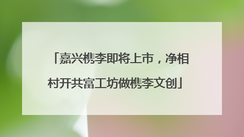 嘉兴槜李即将上市，净相村开共富工坊做槜李文创