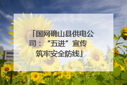国网确山县供电公司：“五进”宣传 筑牢安全防线