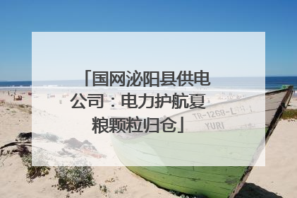国网泌阳县供电公司：电力护航夏粮颗粒归仓