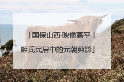 国保山西·映像高平｜姬氏民居中的元朝剪影