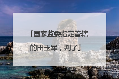 国家监委指定管辖的田玉军，判了