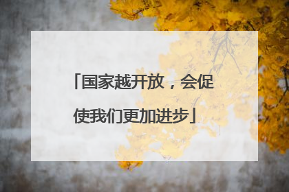 国家越开放，会促使我们更加进步