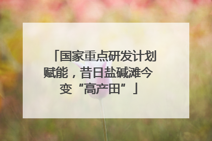 国家重点研发计划赋能，昔日盐碱滩今变“高产田”