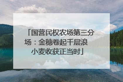 国营民权农场第三分场：金穗卷起千层浪 小麦收获正当时