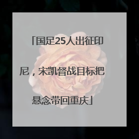 国足25人出征印尼，宋凯督战目标把悬念带回重庆