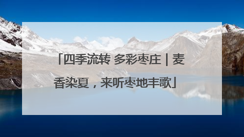 四季流转 多彩枣庄｜麦香染夏，来听枣地丰歌