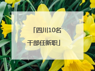 四川10名干部任新职