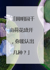 圆明园千亩荷花盛开，你能认出几种？