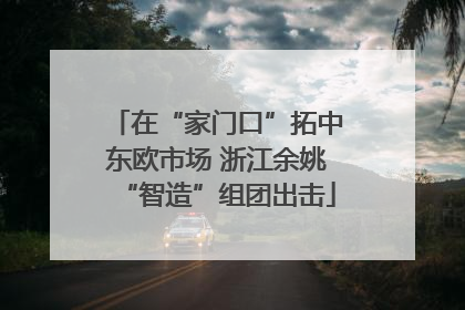 在“家门口”拓中东欧市场 浙江余姚“智造”组团出击