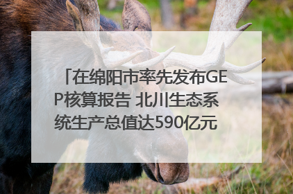 在绵阳市率先发布GEP核算报告 北川生态系统生产总值达590亿元｜新闻发布最前线