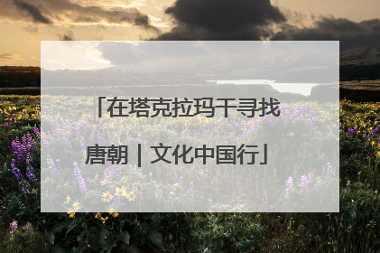 在塔克拉玛干寻找唐朝｜文化中国行