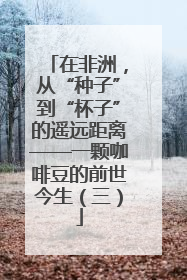 在非洲，从“种子”到“杯子”的遥远距离——一颗咖啡豆的前世今生（三）