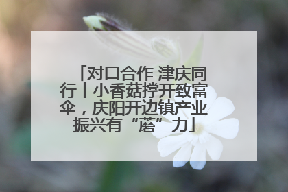 对口合作 津庆同行丨小香菇撑开致富伞，庆阳开边镇产业振兴有“蘑”力