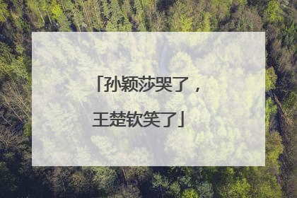 孙颖莎哭了，王楚钦笑了
